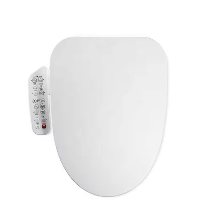 Self-Cleaning Bidet Seat